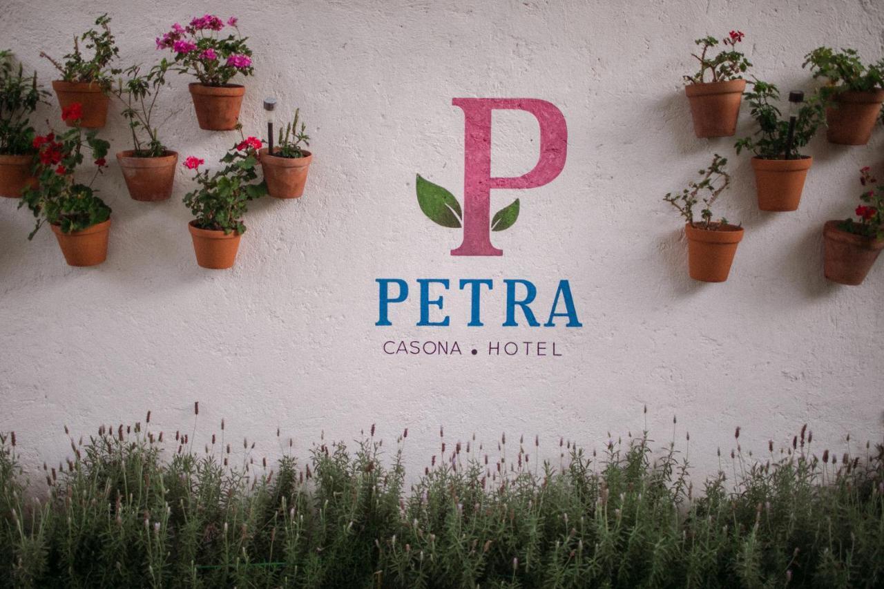 سان ميغيل دي الليندي Hotel Petra المظهر الخارجي الصورة