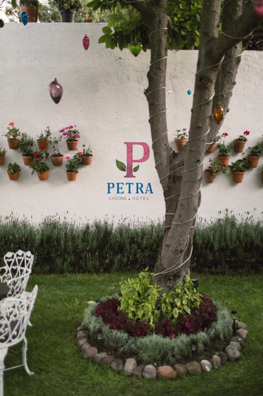 سان ميغيل دي الليندي Hotel Petra المظهر الخارجي الصورة