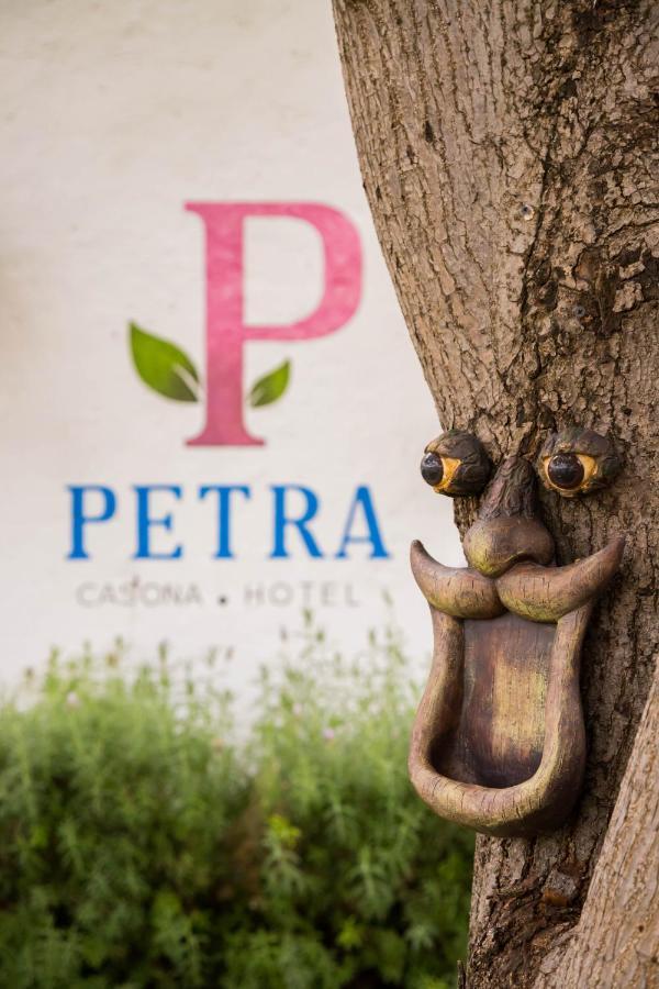 سان ميغيل دي الليندي Hotel Petra المظهر الخارجي الصورة