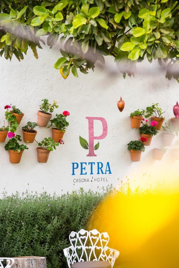 سان ميغيل دي الليندي Hotel Petra المظهر الخارجي الصورة